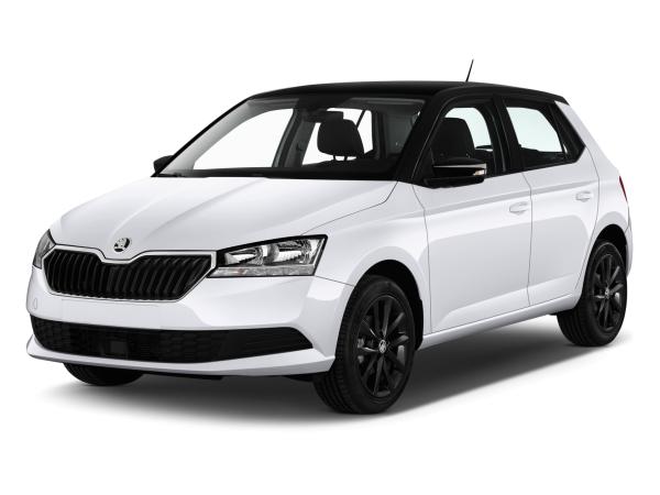 Skoda Fabia DSG Selec LED SHZ Kam PDC SunS VirC 4J/60k