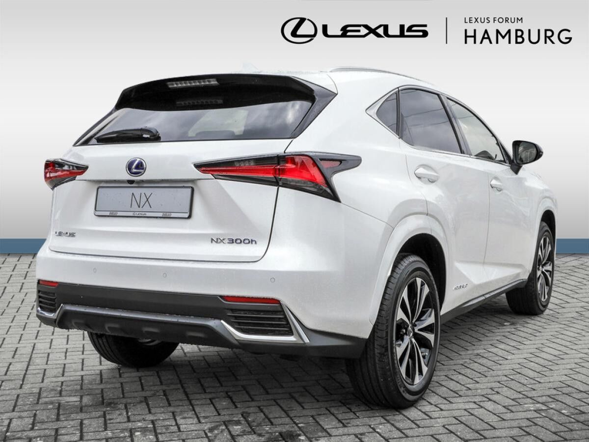 Lexus NX 300 h Style Edition Navi, Lenkradhzg, TWW