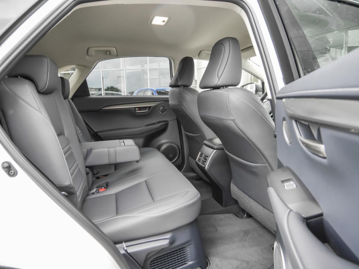 Lexus NX 300 h Style Edition Navi, Lenkradhzg, TWW