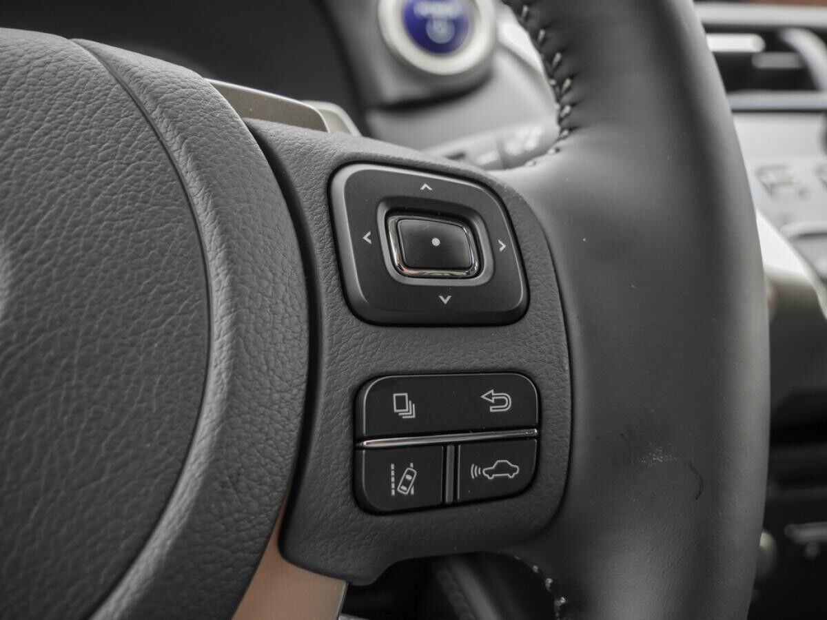 Lexus NX 300 h Style Edition Navi, Lenkradhzg, TWW