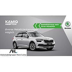Skoda Kamiq leasen