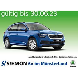 Skoda Kamiq leasen