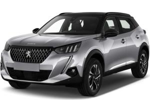 Peugeot 2008 Style 110 e-DSC6