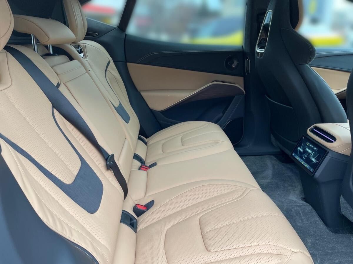 Lotus Eletre Lotus Eletre R *GALLOWAY GREEN by LOTUS HAESE