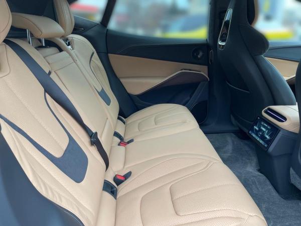 Lotus Eletre Lotus Eletre R *GALLOWAY GREEN by LOTUS HAESE