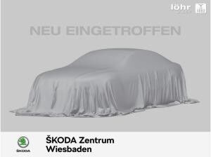 Skoda Octavia Combi RS 4x4 TDI Pano; Standheizung; AHK