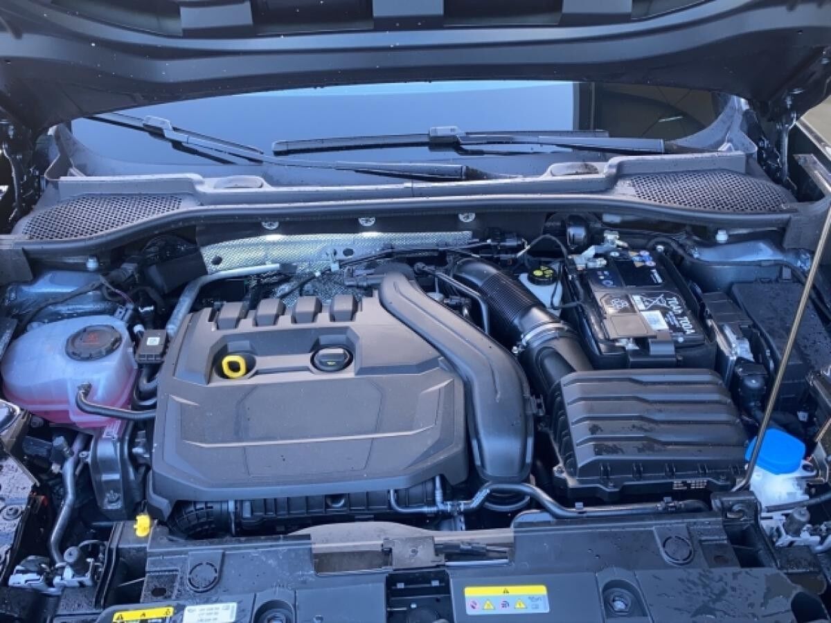 Cupra Formentor Cupra 1.5TSI DSG AHK, RFK, EPC, LED, Sitzh.