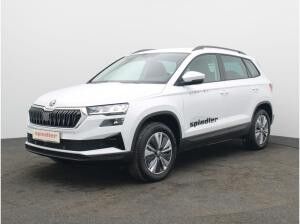 Skoda Karoq Selection 2.0 TDI DSG / Navi,SmartLink,RFK