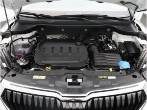 Skoda Karoq Selection 2.0 TDI DSG / Navi,SmartLink,RFK