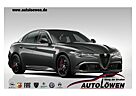 Alfa Romeo Giulia Quadrifoglio Vorlauffahrzeug! Lieferbereit ab Juni!