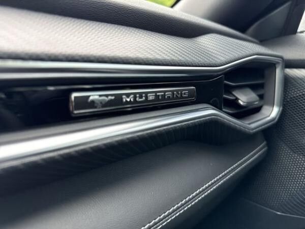 Ford Mustang 5.0L TI-VCT V8 GT FASTBACK #MAGNERIDE