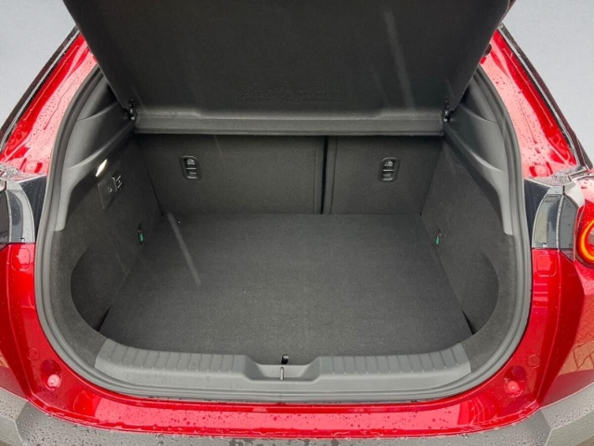 Mazda MX-30 R-EV MAKOTO Premium-Pak. 360°BOSE AppleCar