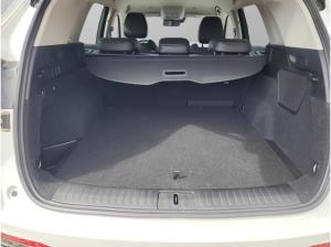 GWM WEY 03 "Luxury 4WD" 🔥Sitz- & Winterpaket 🔥