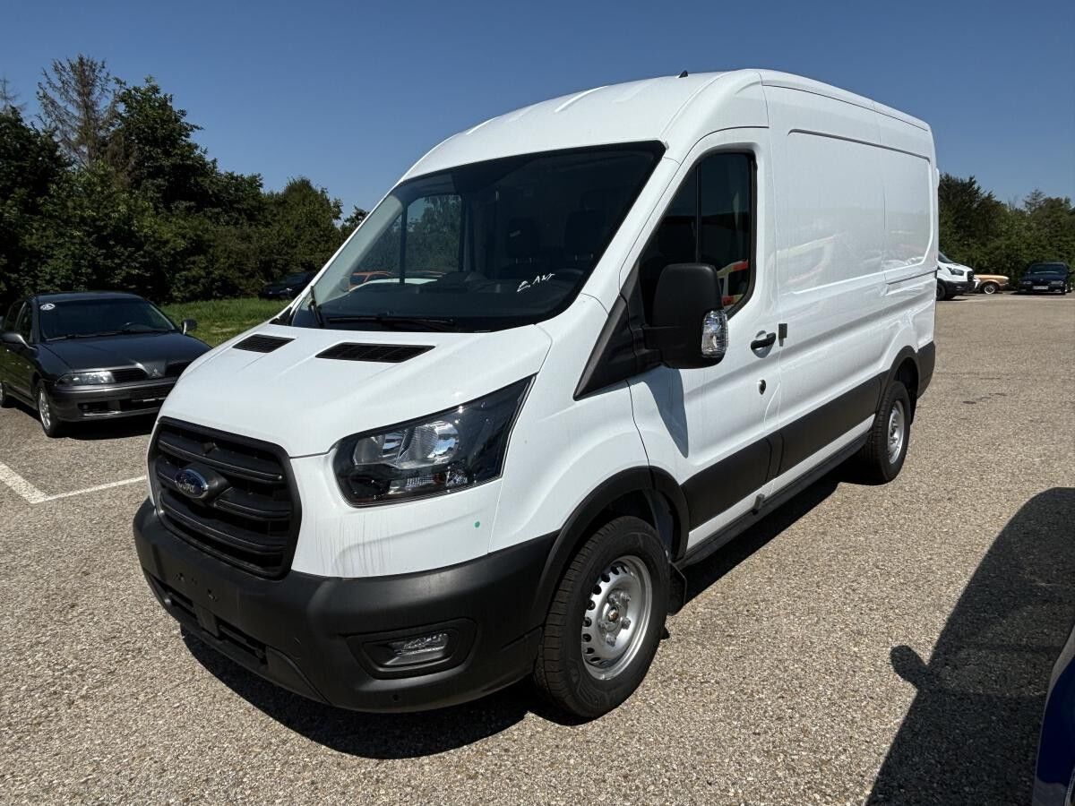Ford Transit Kasten