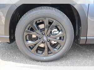 Subaru Forester (S14/SK)