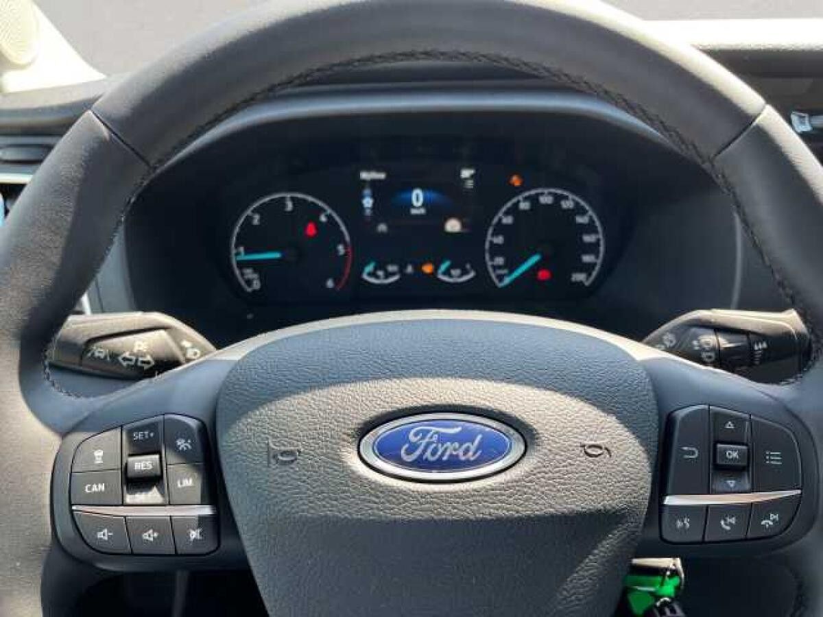 Ford Transit 350 EcoBlue L4H3 HA Trend