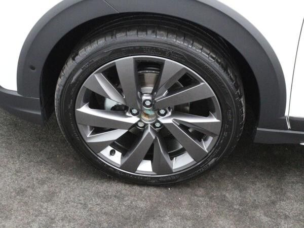 Volkswagen Taigo Style 1.0 TSI DSG / Navi, Matrix, AHK, RFK