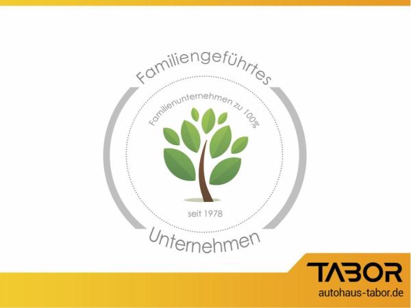 Renault Express Extra TCe 100 FAP PDC KLIMA USB LichtS