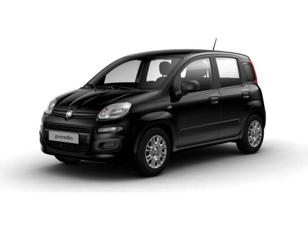 Fiat Panda 1.0 Mild Hybrid MY24 Sonderaktion Lieferzeit ca. 3-4 Wochen