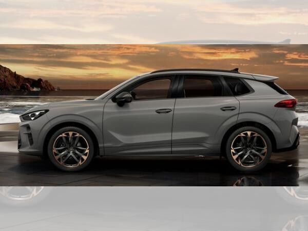 Cupra Terramar VZ 2.0 TSI DSG 4Drive ABGABE 12.2025
