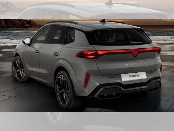 Cupra Terramar VZ 2.0 TSI DSG 4Drive ABGABE 12.2025