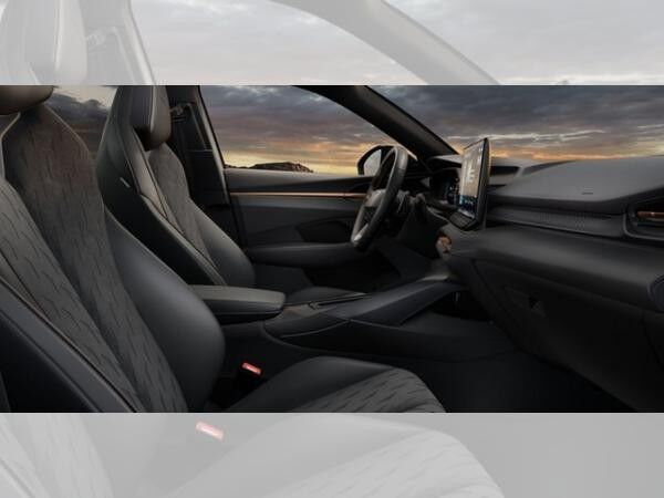 Cupra Terramar VZ 2.0 TSI DSG 4Drive ABGABE 12.2025