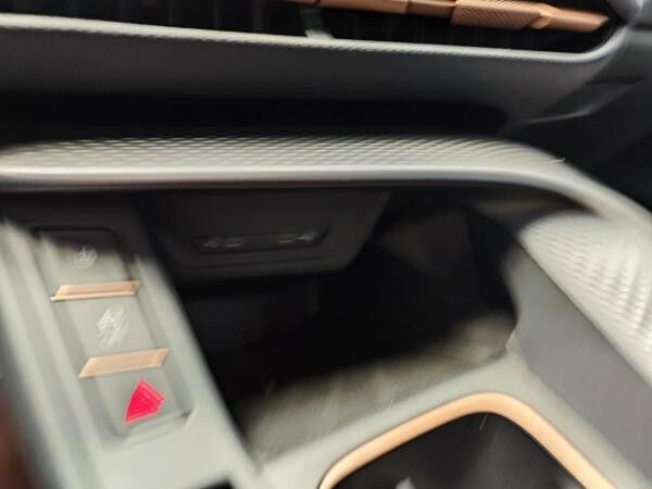 Cupra Terramar 2.0TSI DSG 4x4 |Akebono| ABVERKAUF - letztes Fzg.