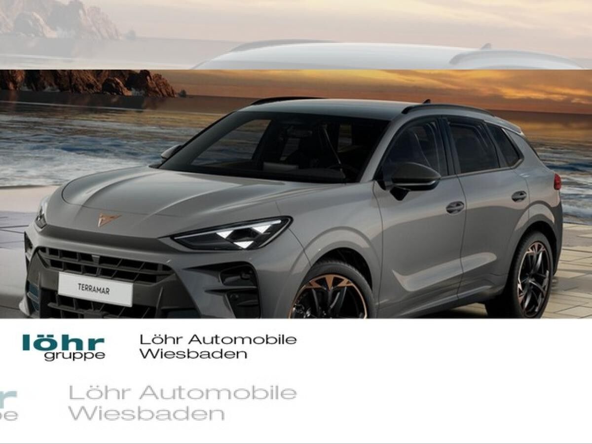 Cupra Terramar VZ 2.0 TSI 4Drive ABGABE 04.2026