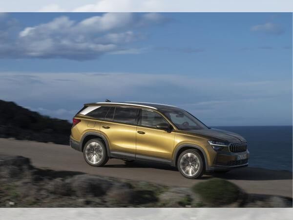Skoda Kodiaq Selection 1,5 TSI iV 150 kW 6-Gang-DSG - Plug-In Hybrid