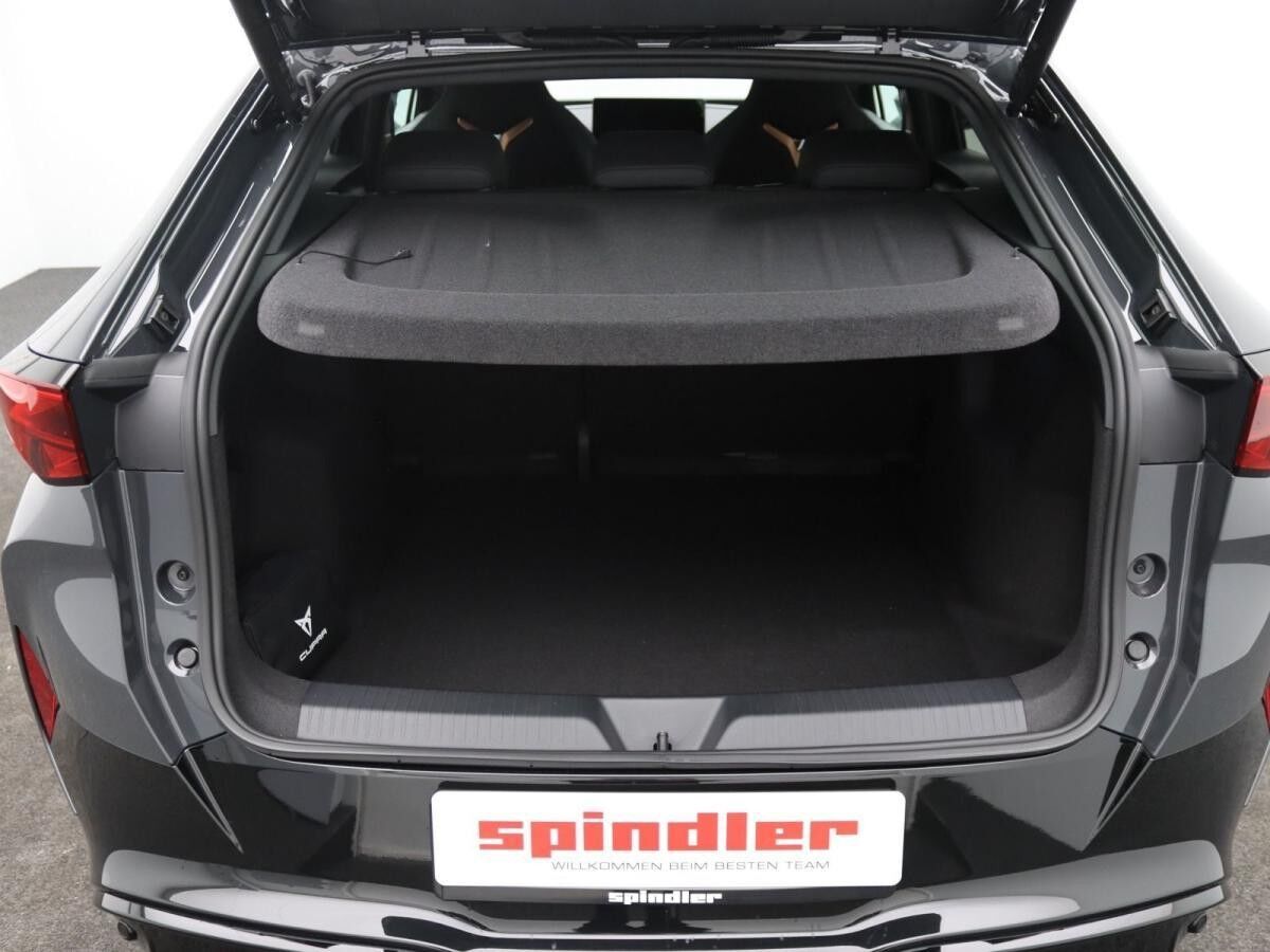 Cupra Tavascan Endurance / Navi, Matrix, App, RFK, ACC