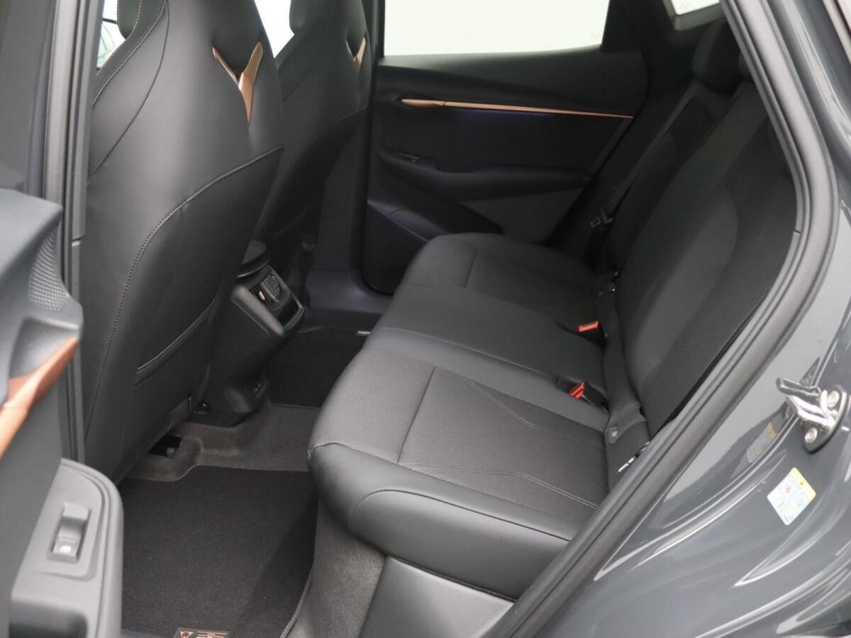 Cupra Tavascan Endurance / Navi, Matrix, App, RFK, ACC