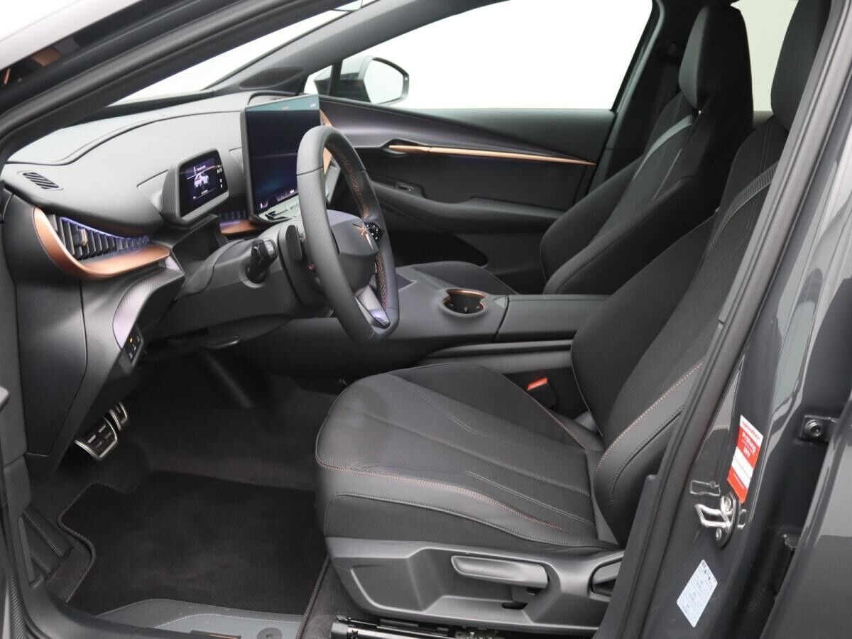 Cupra Tavascan Endurance / Navi, Matrix, App, RFK, ACC