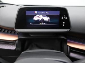 Cupra Tavascan Endurance / Navi, Matrix, App, RFK, ACC