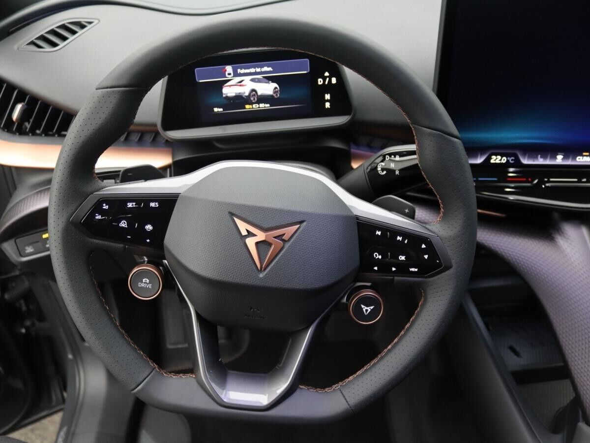 Cupra Tavascan Endurance / Navi, Matrix, App, RFK, ACC