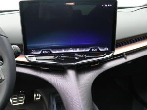 Cupra Tavascan Endurance / Navi, Matrix, App, RFK, ACC