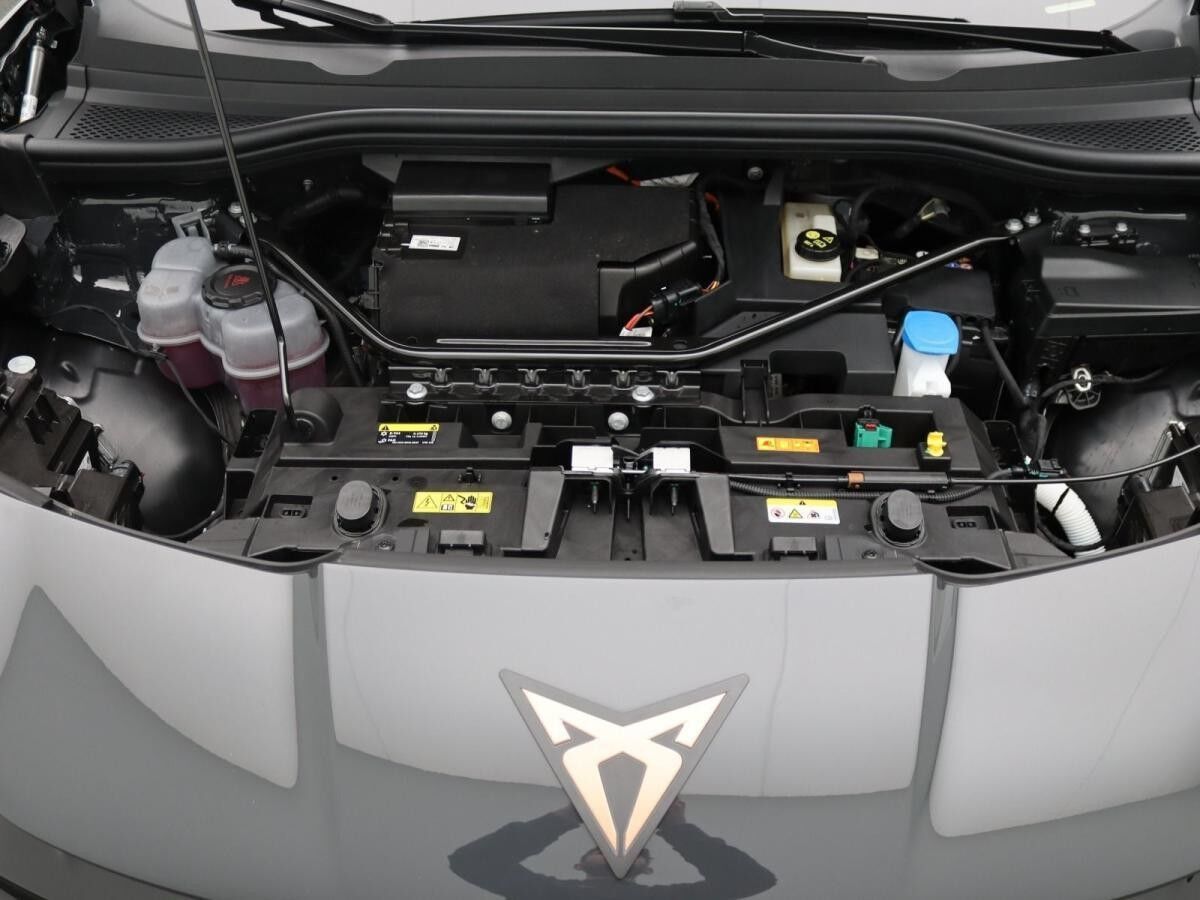 Cupra Tavascan Endurance / Navi, Matrix, App, RFK, ACC