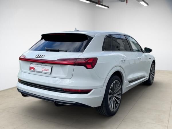 Audi e-tron 55 quattro S line Matrix