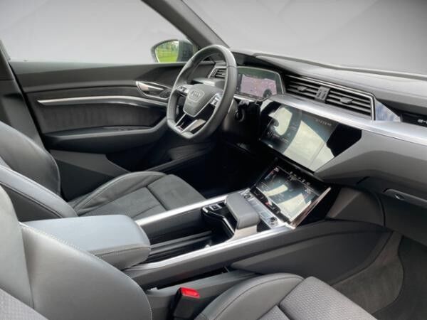 Audi e-tron 55 quattro S line Matrix