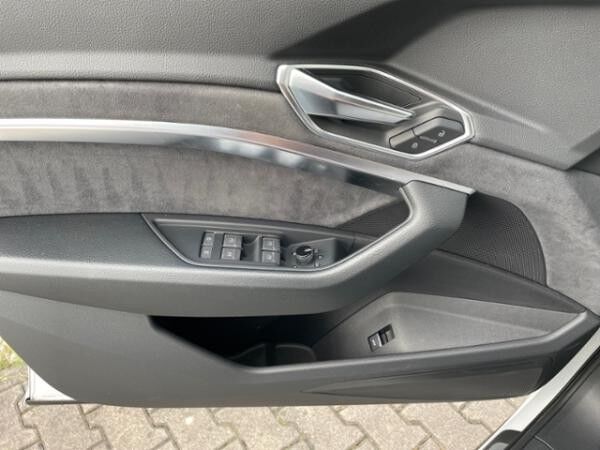 Audi e-tron 55 quattro S line Matrix