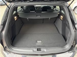 Ford Focus ST-Line Turnier 125PS Tageszulassung 🚀  Sofort Verfügbar🚀