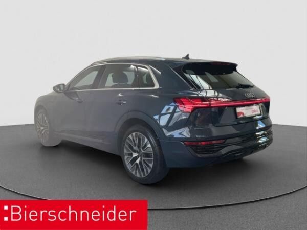 Audi Q8 e-tron 55 qu advanced AHK PANO MATRIX 21