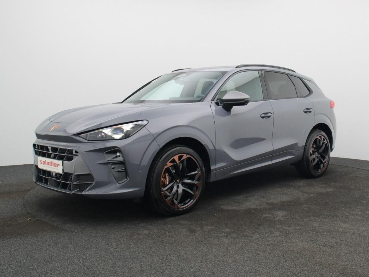 Cupra Terramar VZ 2.0 TSI 4Drive DSG / Matrix, Pano