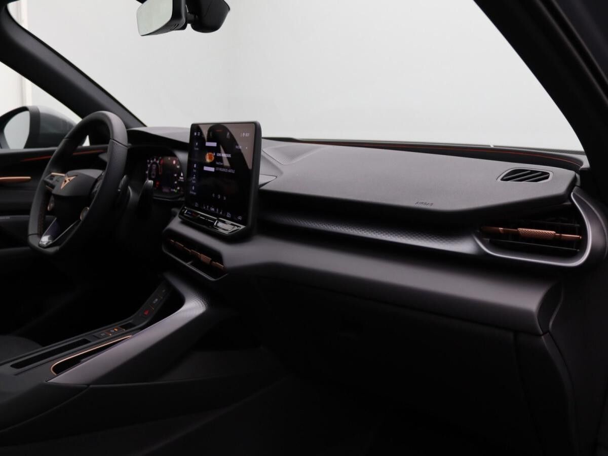 Cupra Terramar VZ 2.0 TSI 4Drive DSG / Matrix, Pano