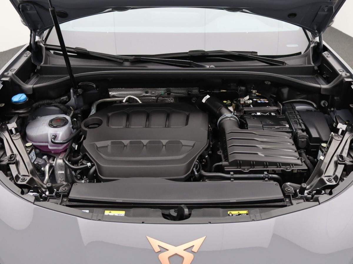 Cupra Terramar VZ 2.0 TSI 4Drive DSG / Matrix, Pano