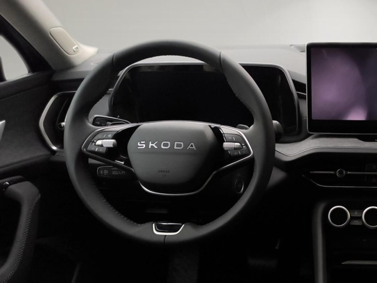 Skoda Kodiaq 1.5 TSI iV DSG Selection SHZ+ACC+GRA+AHK