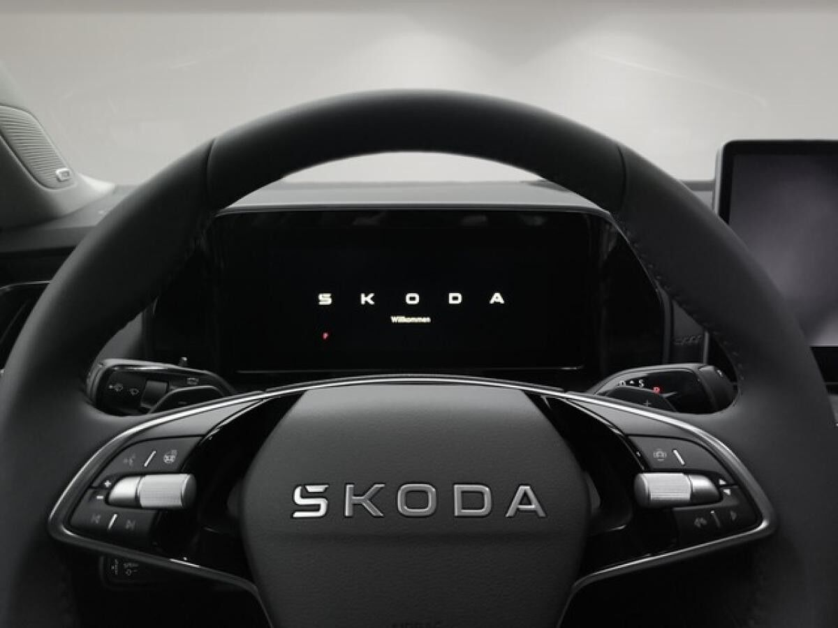 Skoda Kodiaq 1.5 TSI iV DSG Selection SHZ+ACC+GRA+AHK