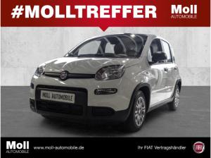 Fiat Panda Mild Hybrid City Paket  Gelato Weiß
