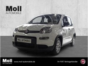 Fiat Panda Mild Hybrid City Paket  Gelato Weiß