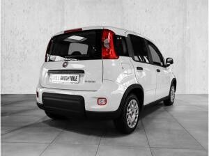 Fiat Panda Mild Hybrid City Paket  Gelato Weiß