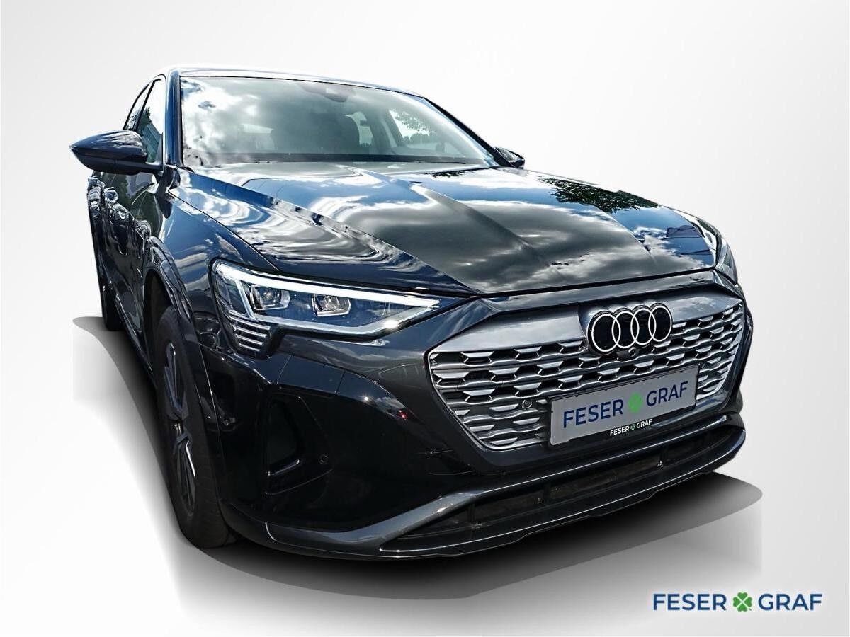 Audi Q8 e-tron Advanced LED Matrix Navi Luftfed. V-Co